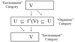 fig15-brain-butterfly