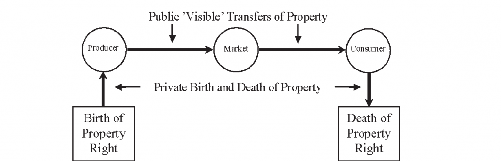 life-cycle