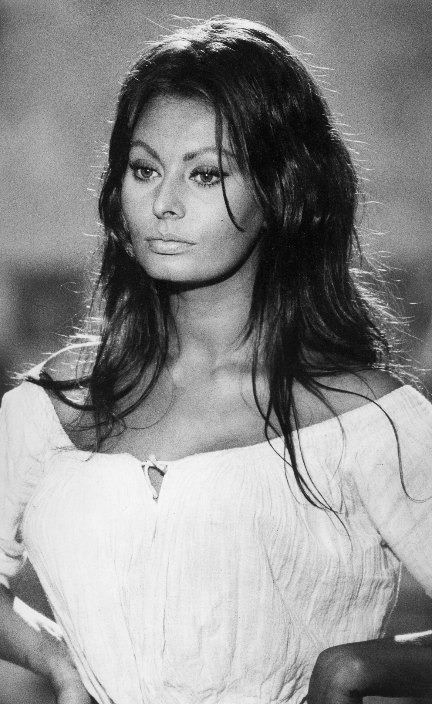 83b_sophia_loren